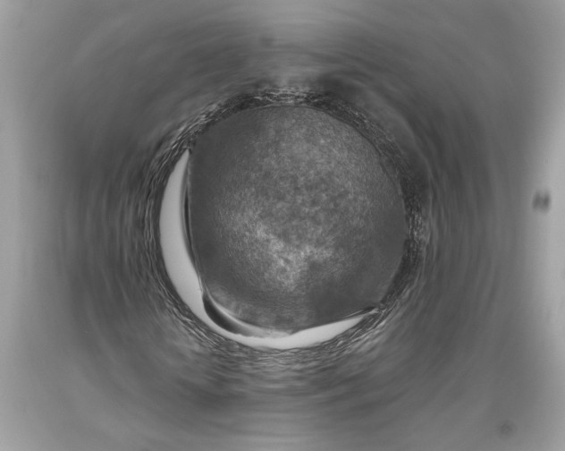 X0000093470818200710261041