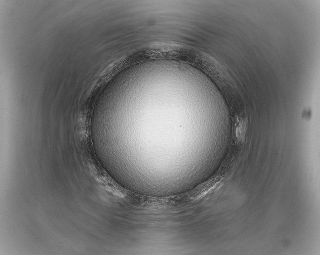 X0000093470819200710261041