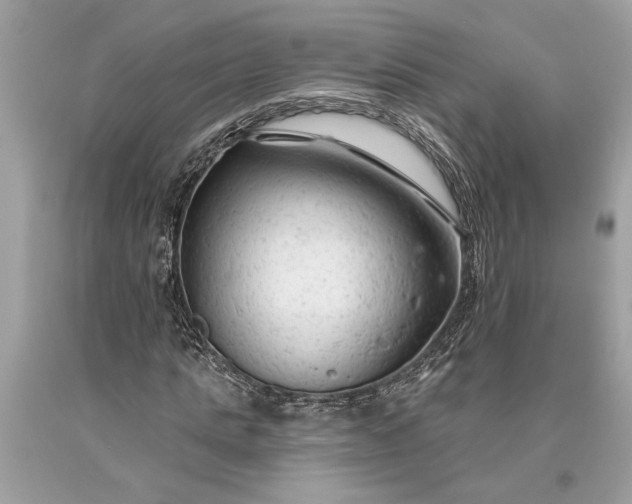 X0000093470821200710261041