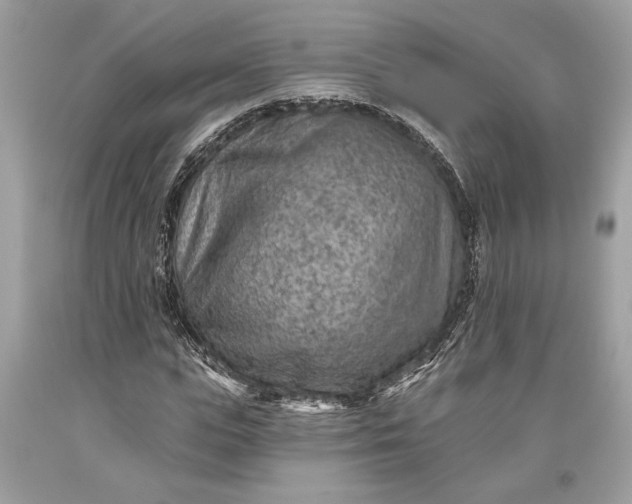 X0000093470823200710261041