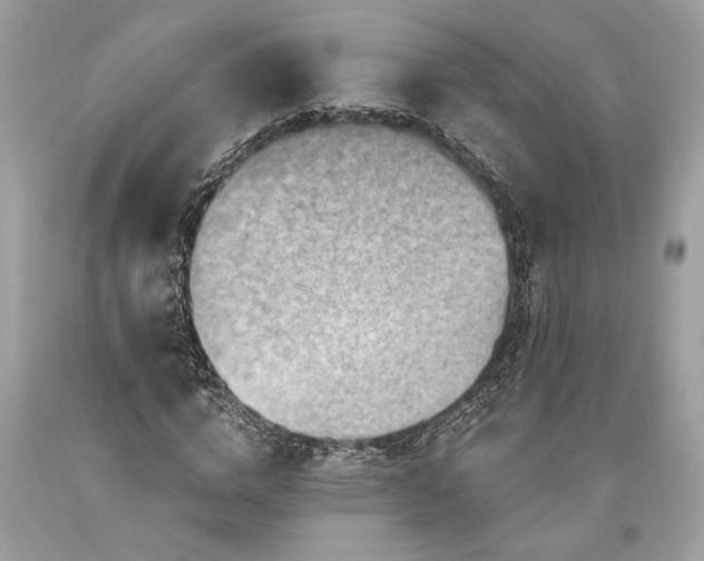 X0000093470824200710261041