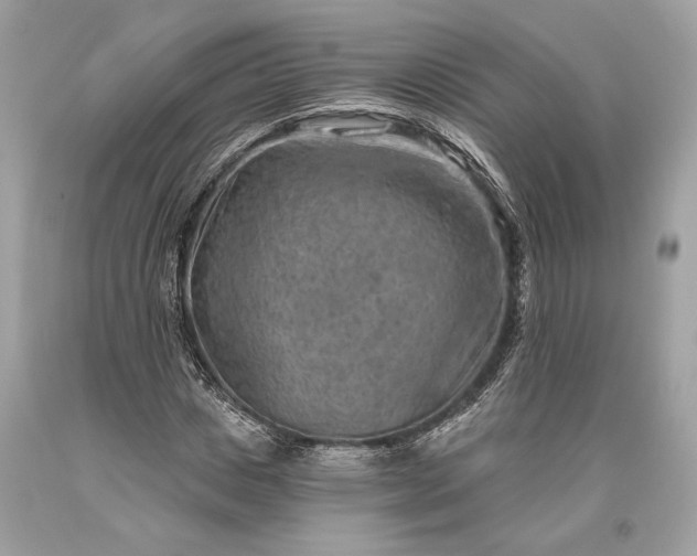 X0000093470825200710261041