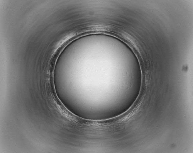 X0000093470827200710261041