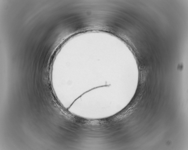 X0000093470828200710261041