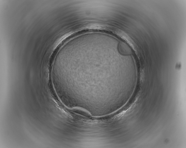 X0000093470829200710261041