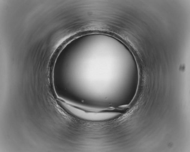 X0000093470830200710261041