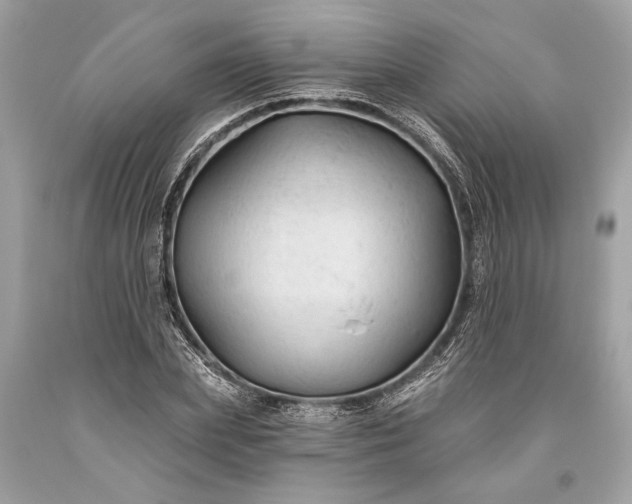 X0000093470831200710261041