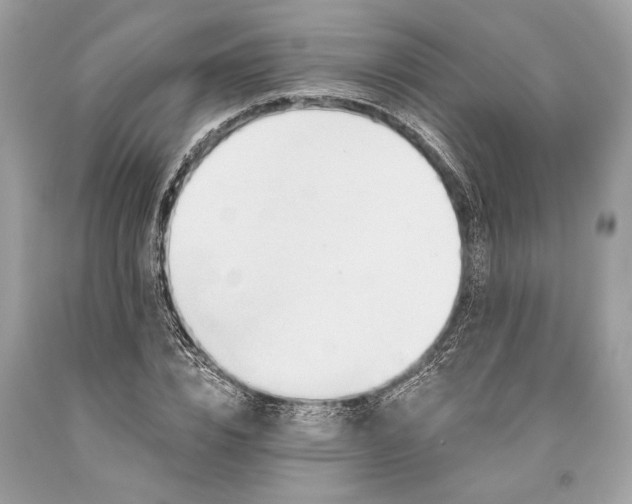 X0000093470832200710261041