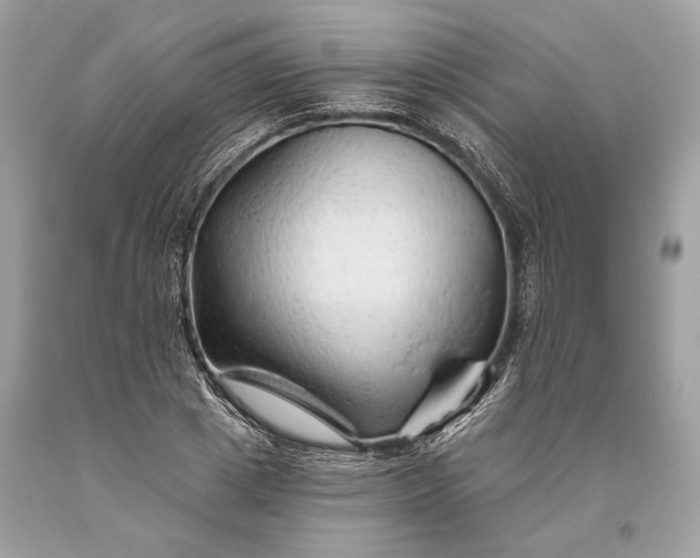 X0000093470833200710261041