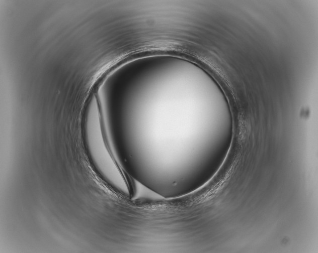 X0000093470834200710261041