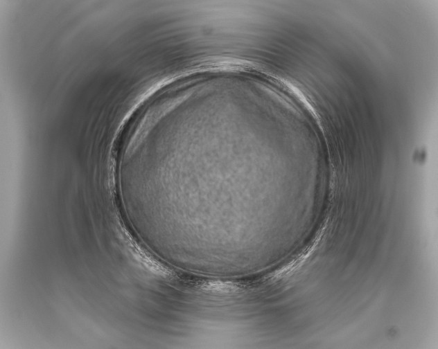 X0000093470835200710261041