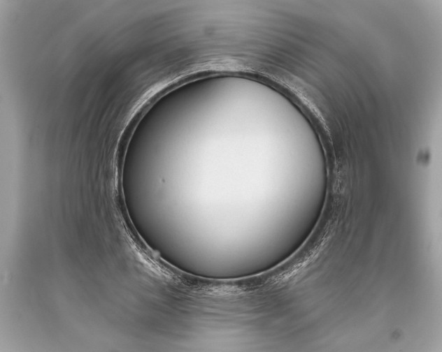 X0000093470837200710261041