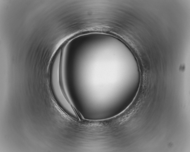 X0000093470838200710261041