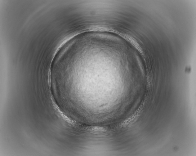 X0000093470839200710261041