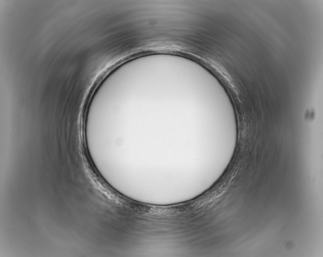 X0000093470840200710261041