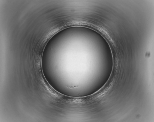 X0000093470841200710261041