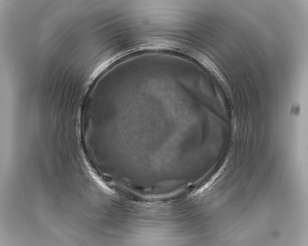 X0000093470842200710261041