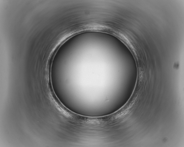 X0000093470843200710261041