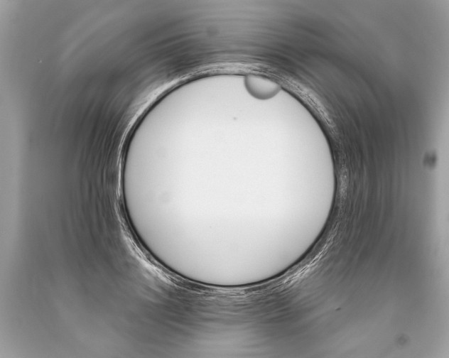 X0000093470844200710261041