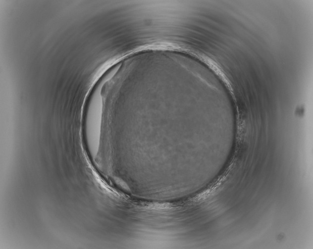 X0000093470845200710261041