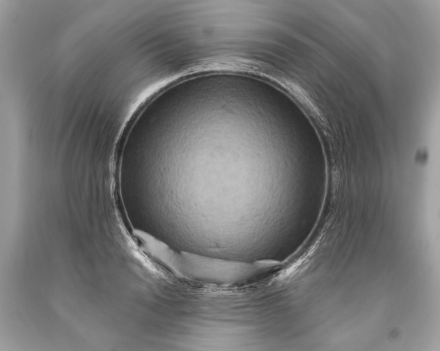 X0000093470846200710261041