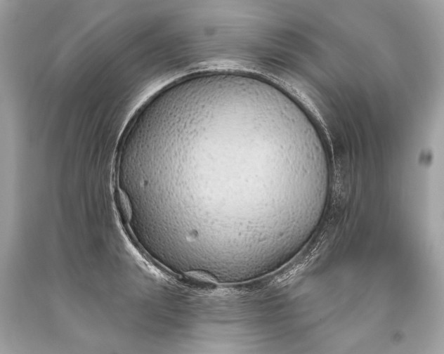 X0000093470847200710261041