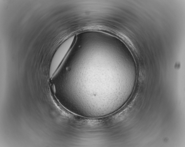 X0000093470849200710261041