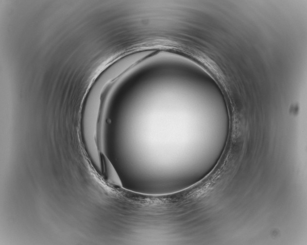 X0000093470850200710261041