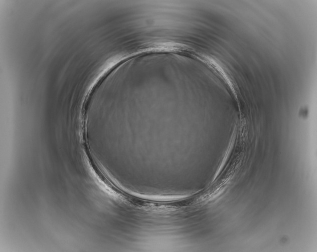 X0000093470851200710261041