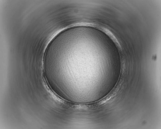 X0000093470852200710261041