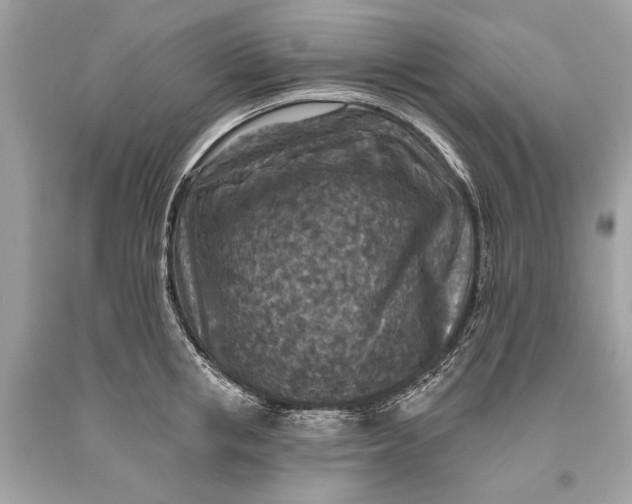 X0000093470853200710261041