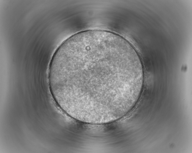 X0000093470856200710261041