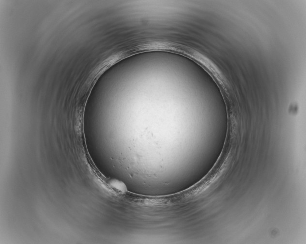 X0000093470857200710261041