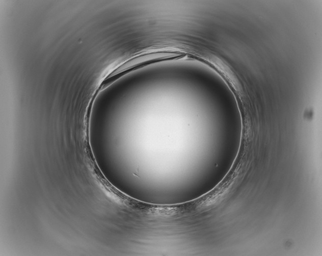 X0000093470858200710261041