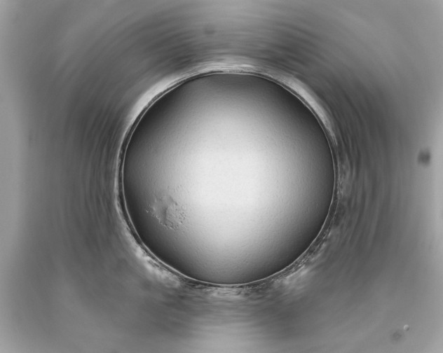 X0000093470861200710261041