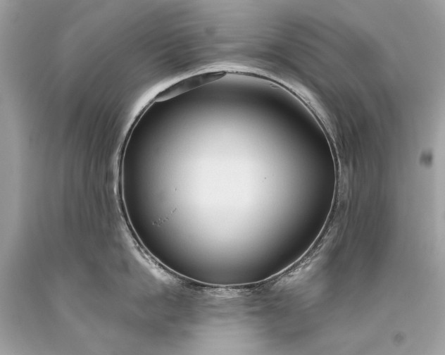 X0000093470862200710261041