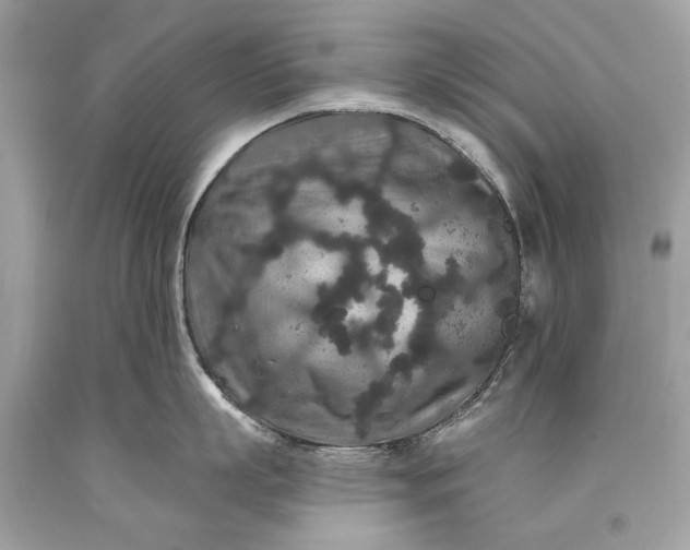 X0000093470863200710261041