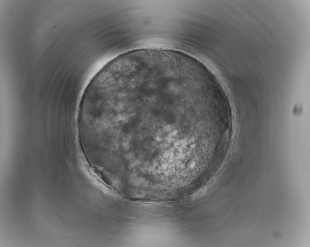 X0000093470864200710261041