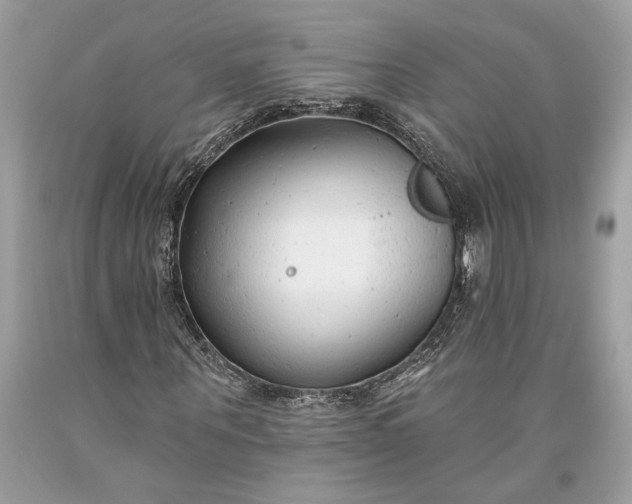 X0000093470867200710261040