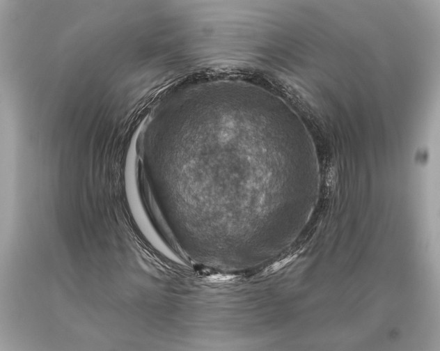 X0000093470868200710261040