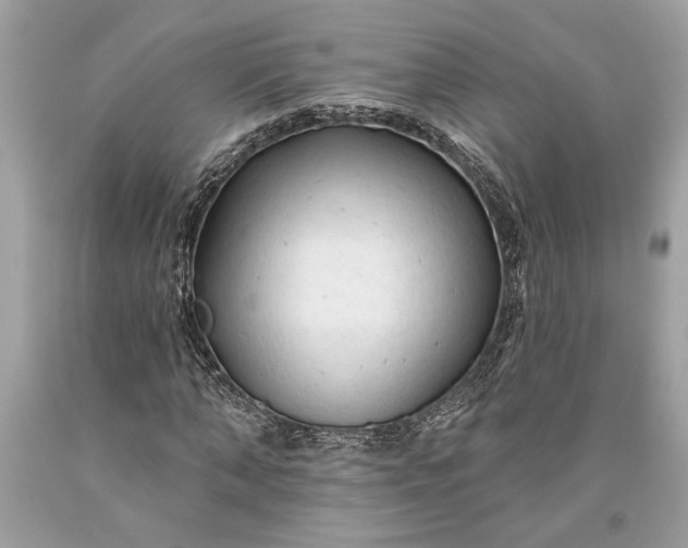 X0000093470870200710261040