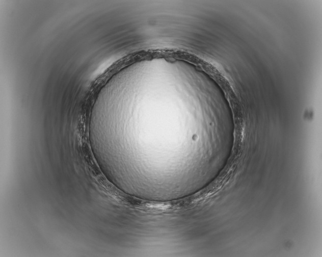 X0000093470871200710261040