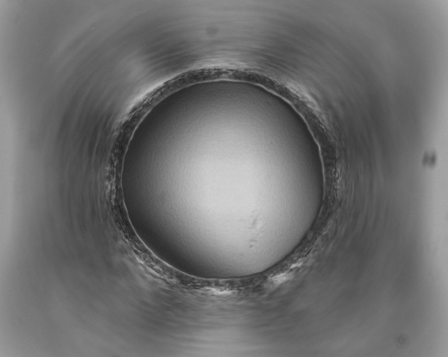 X0000093470872200710261040