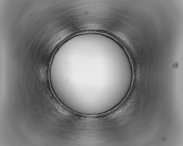 X0000093470873200710261040