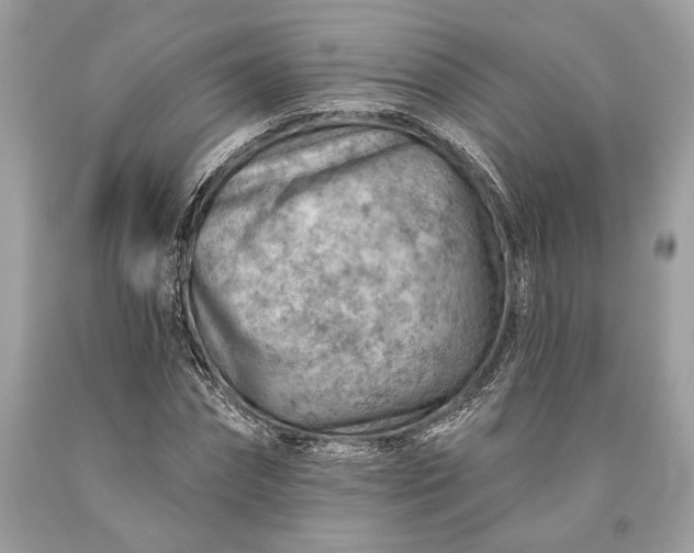 X0000093470874200710261040