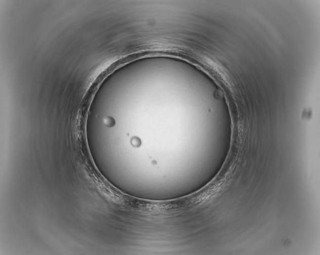 X0000093470875200710261040