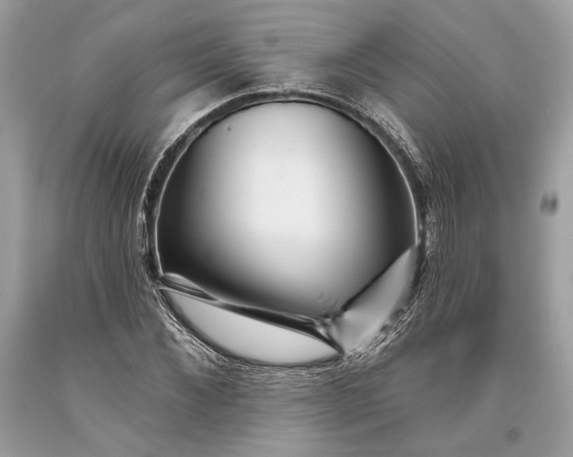 X0000093470876200710261040