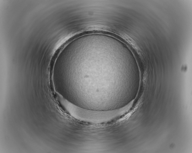 X0000093470877200710261040