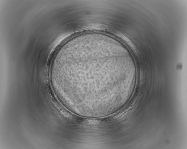 X0000093470878200710261040