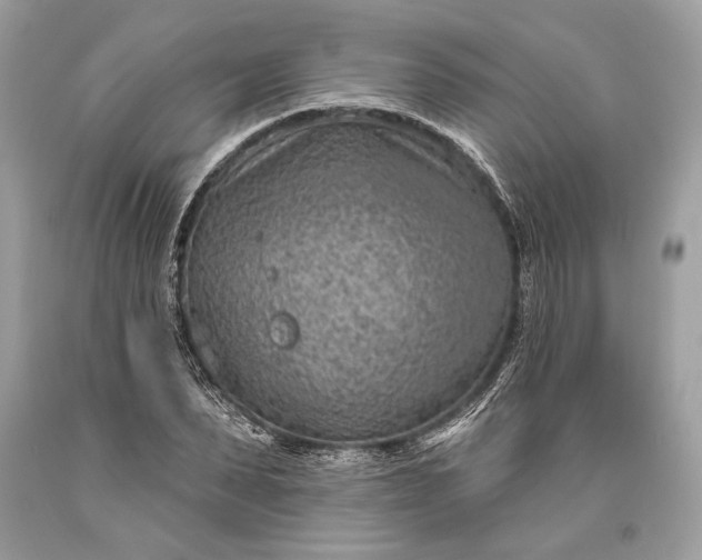 X0000093470879200710261040